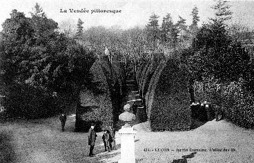 Iconographie - Jardin Dumaine. L'Allée des Ifs