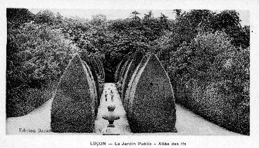 Iconographie - Le Jardin Dumaine. L'Allée des Ifs