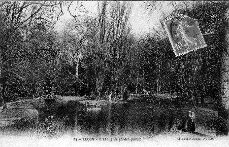 Iconographie - L'Etang du Jardin Public