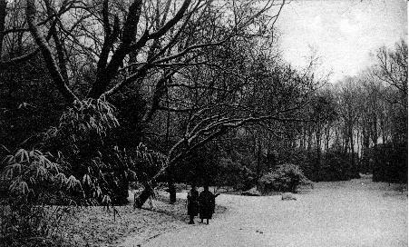 Iconographie - Jardin Dumaine (sous la neige)