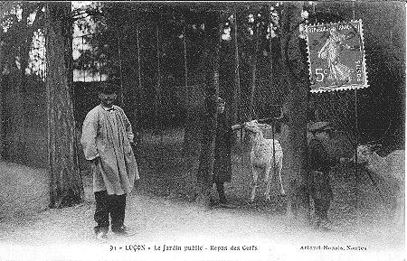 Iconographie - Le Jardin Public - Repas des Cerfs