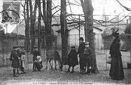 Iconographie - Jardin Dumaine, Le parc aux biches