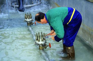 Iconographie - Réglage des jets d'eau de La Baigneuse, d'Henri Murail