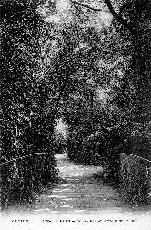 Iconographie - Sous-Bois au Jardin du Maine