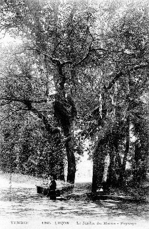 Iconographie - Le Jardin du Maine - Paysage