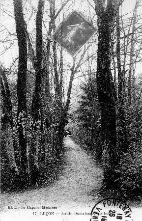 Iconographie - Jardin Dumaine - Sous bois