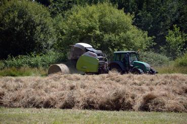 Iconographie - Fenaison avec une presse à balles rondes par Sébastien Shwab, agriculteur biologique