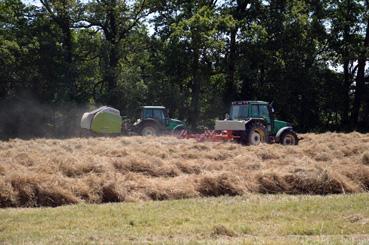 Iconographie - Fenaison par Sébastien Shwab, agriculteur biologique