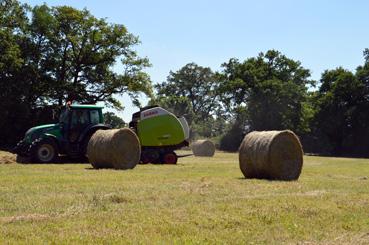 Iconographie - Fenaison avec une presse à balles rondes par Sébastien Shwab, agriculteur biologique