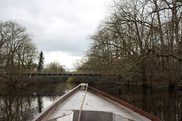 Iconographie - Observation sur le lac de Grand-Lieu avec Alphonse Joyeux