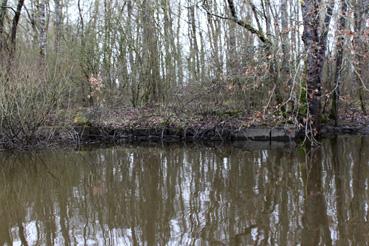 Iconographie - Observation sur le lac de Grand-Lieu avec Alphonse Joyeux