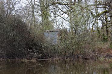 Iconographie - Observation sur le lac de Grand-Lieu avec Alphonse Joyeux