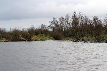 Iconographie - Observation sur le lac de Grand-Lieu avec Alphonse Joyeux