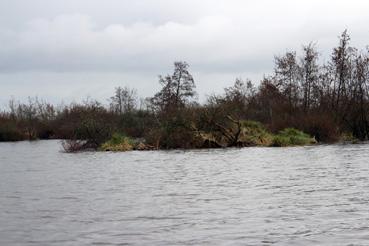 Iconographie - Observation sur le lac de Grand-Lieu avec Alphonse Joyeux