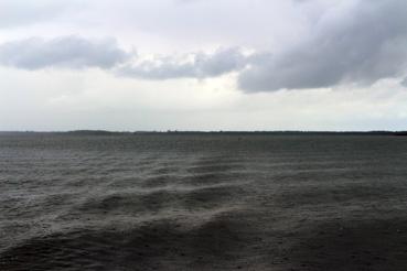 Iconographie - Observation sur le lac de Grand-Lieu avec Alphonse Joyeux sous la pluie