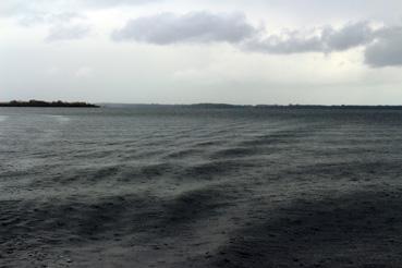 Iconographie - Observation sur le lac de Grand-Lieu avec Alphonse Joyeux sous la pluie