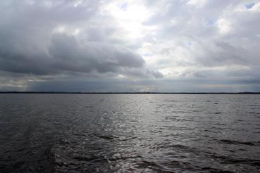 Iconographie - Observation sur le lac de Grand-Lieu avec Alphonse Joyeux