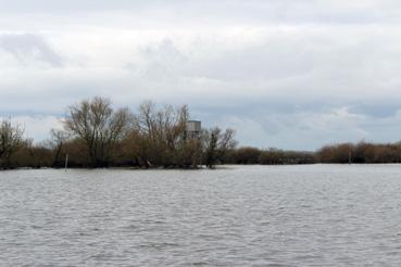 Iconographie - Observation sur le lac de Grand-Lieu avec Alphonse Joyeux, une cabane de chasse