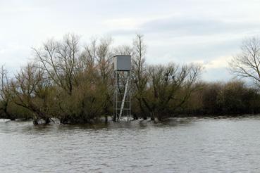 Iconographie - Observation sur le lac de Grand-Lieu avec Alphonse Joyeux, une cabane de chasse