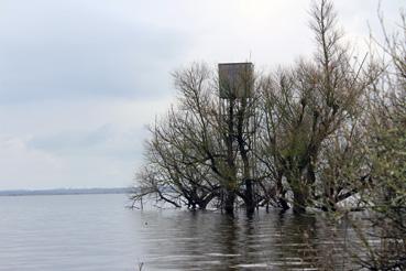 Iconographie - Observation sur le lac de Grand-Lieu avec Alphonse Joyeux, une cabane de chasse