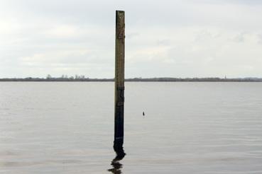 Iconographie - Observation sur le lac de Grand-Lieu avec Alphonse Joyeux, niveau des crues