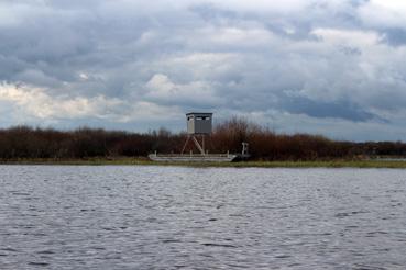 Iconographie - Observation sur le lac de Grand-Lieu avec Alphonse Joyeux, une cabane de chasse