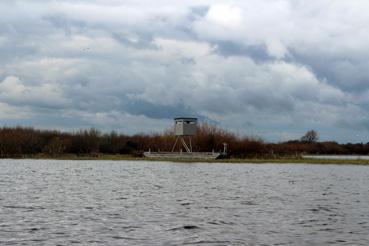 Iconographie - Observation sur le lac de Grand-Lieu avec Alphonse Joyeux, une cabane de chasse