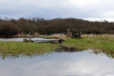 Iconographie - Observation sur le lac de Grand-Lieu avec Alphonse Joyeux, cabane de chasse