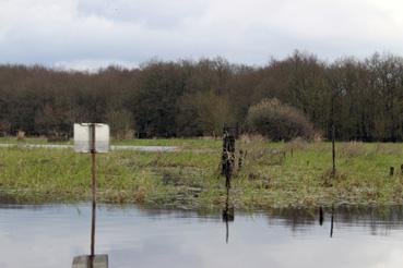 Iconographie - Observation sur le lac de Grand-Lieu avec Alphonse Joyeux, cabane de chasse