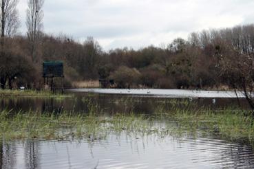 Iconographie - Observation sur le lac de Grand-Lieu avec Alphonse Joyeux, cabane de chasse