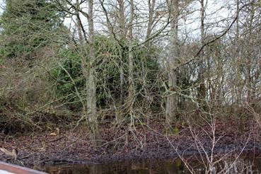 iconographie - Observation sur le lac de Grand-Lieu avec Alphonse Joyeux