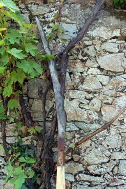 Iconographie - Le couteau à levis d'Alphonse Joyeux