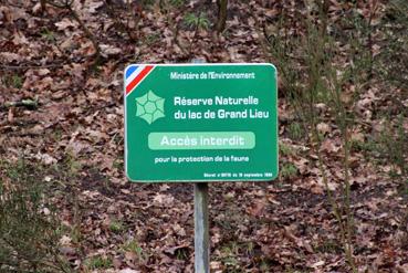 Iconographie - Observation sur le lac de Grand-Lieu avec Alphonse Joyeux