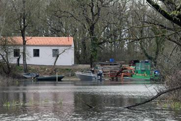 Iconographie - Observation sur le lac de Grand-Lieu avec Alphonse Joyeux