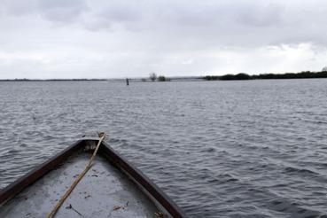 Iconographie - Observation sur le lac de Grand-Lieu avec Alphonse Joyeux