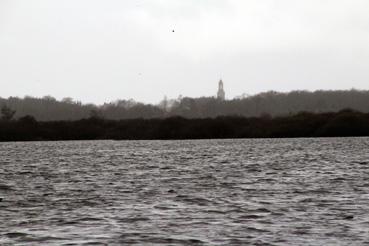 Iconographie - Observation sur le lac de Grand-Lieu avec Alphonse Joyeux