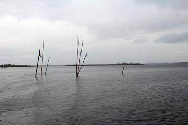 Iconographie - Observation sur le lac de Grand-Lieu avec Alphonse Joyeux