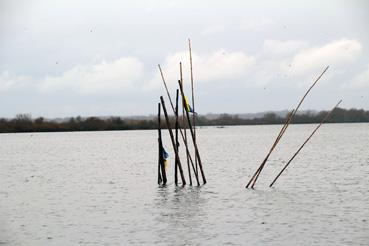 Iconographie - Observation sur le lac de Grand-Lieu avec Alphonse Joyeux