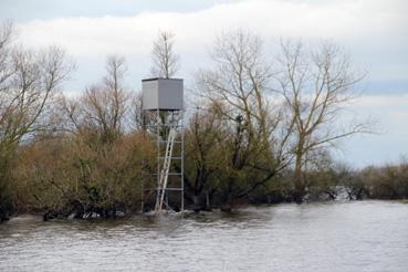 Iconographie - Observation sur le lac de Grand-Lieu avec Alphonse Joyeux, observatoire