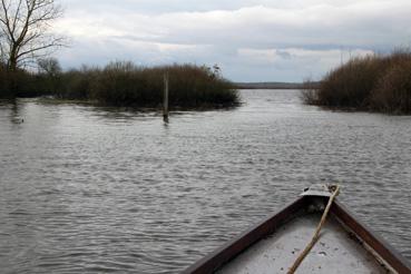 Iconographie - Observation sur le lac de Grand-Lieu avec Alphonse Joyeux