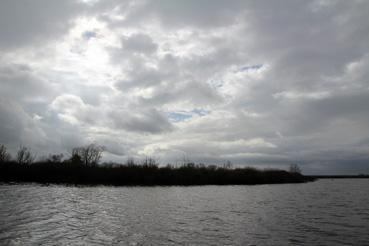 Iconographie - Observation sur le lac de Grand-Lieu avec Alphonse Joyeux