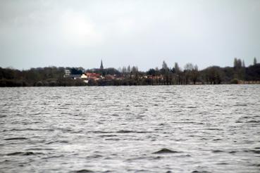 Iconographie - Observation sur le lac de Grand-Lieu avec Alphonse Joyeux