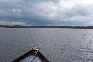 Iconographie - Observation sur le lac de Grand-Lieu avec Alphonse Joyeux