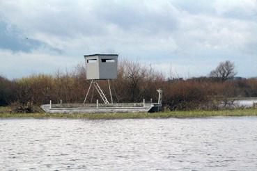 Iconographie - Observation sur le lac de Grand-Lieu avec Alphonse Joyeux, observatoire