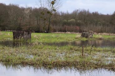 Iconographie - Observation sur le lac de Grand-Lieu avec Alphonse Joyeux, cabane de chasse