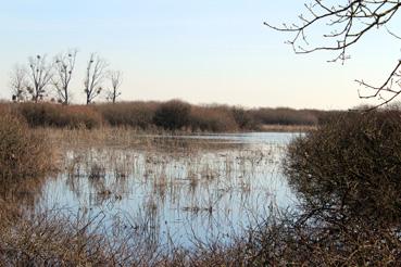 Iconographie - Vue sur le lac de Grand-Lieu