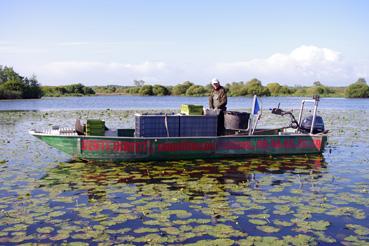 Iconographie - Pêche sur le lac de Grand-Lieu avec Dominique Guillet