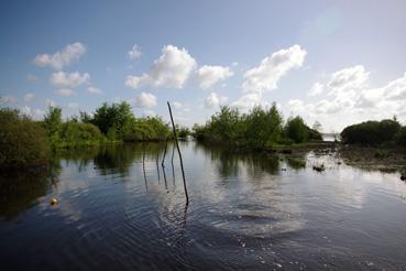 Iconographie - Pêche sur le lac de Grand-Lieu avec Dominique Guillet