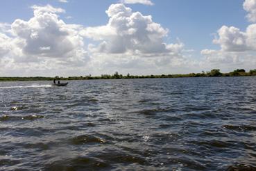 Iconographie - Pêche sur le lac de Grand-Lieu avec Dominique Guillet