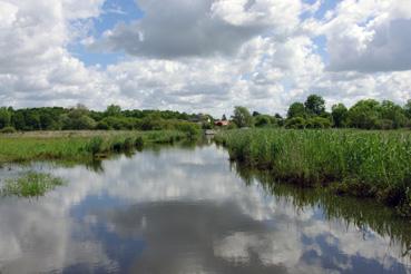 Iconographie - Pêche sur le lac de Grand-Lieu avec Dominique Guillet